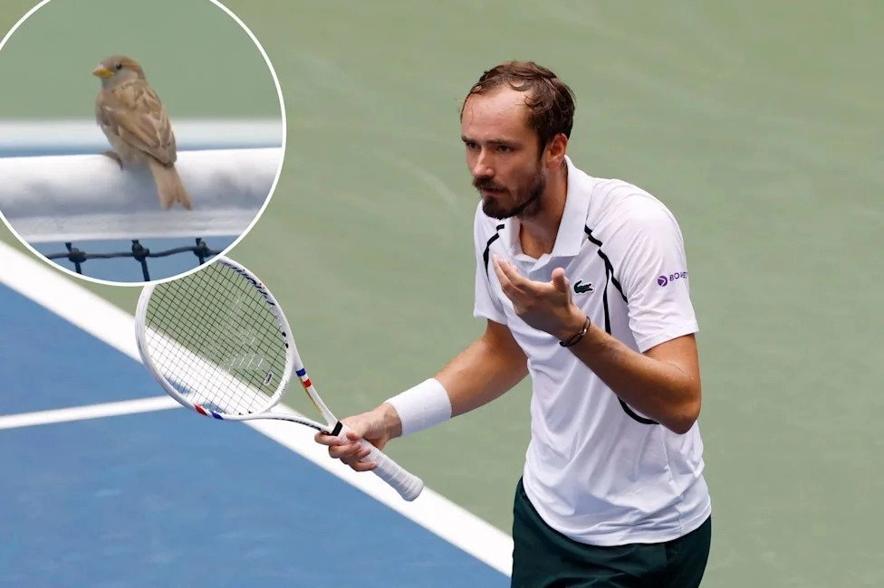 Daniil Medvedev vuot qua su co hy huu de vao vong ba My Mo rong 2026